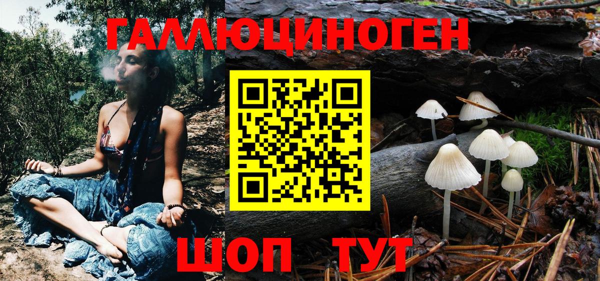 Псилоцибиновые грибы Psilocybine cubensis Майкоп