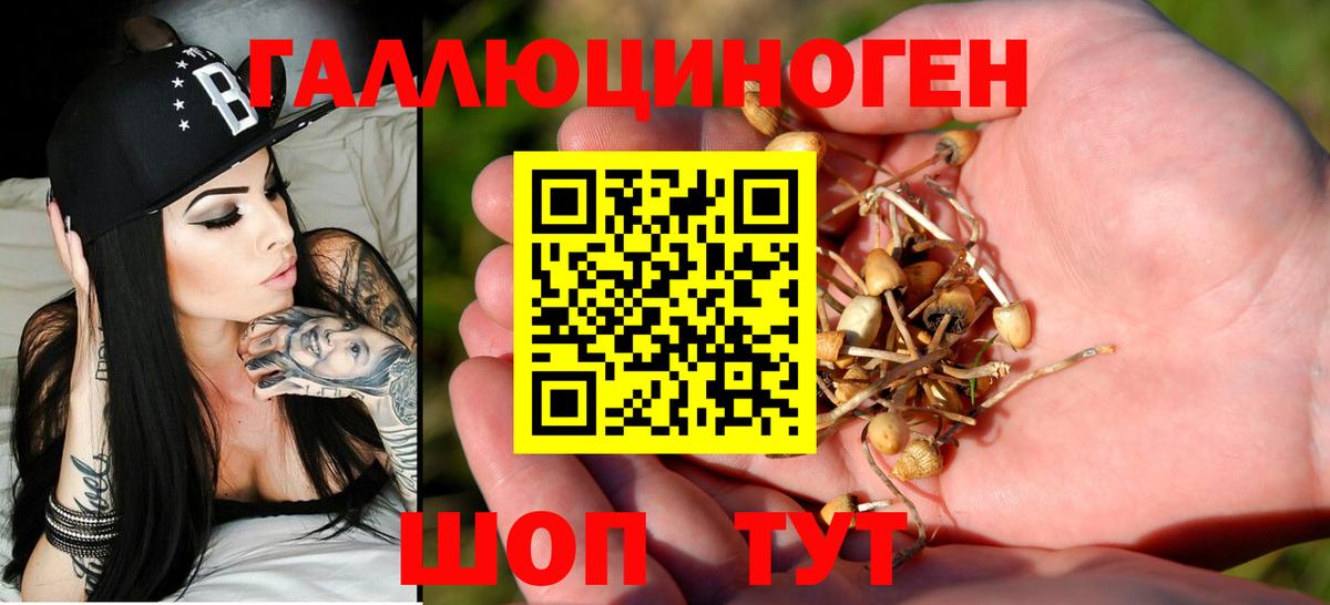 Псилоцибиновые грибы Magic Shrooms  закладка  Майкоп  Вход с VPN 